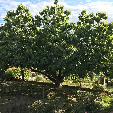 شقة Panoramic View