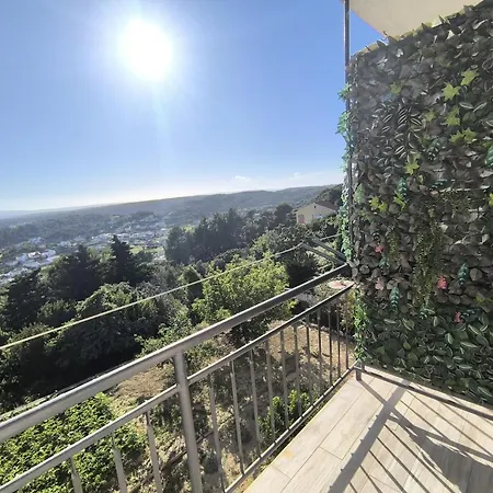 Panoramic View * New Translation