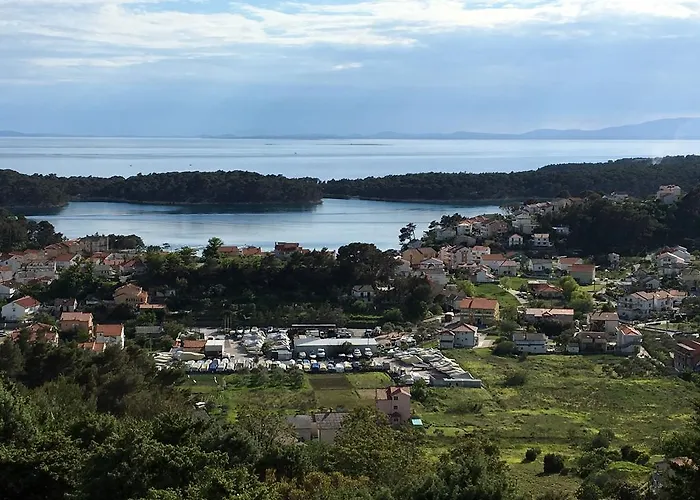 Panoramic View New Translation