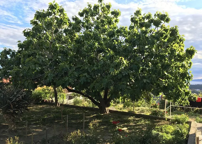 Apartment Panoramic View Studio