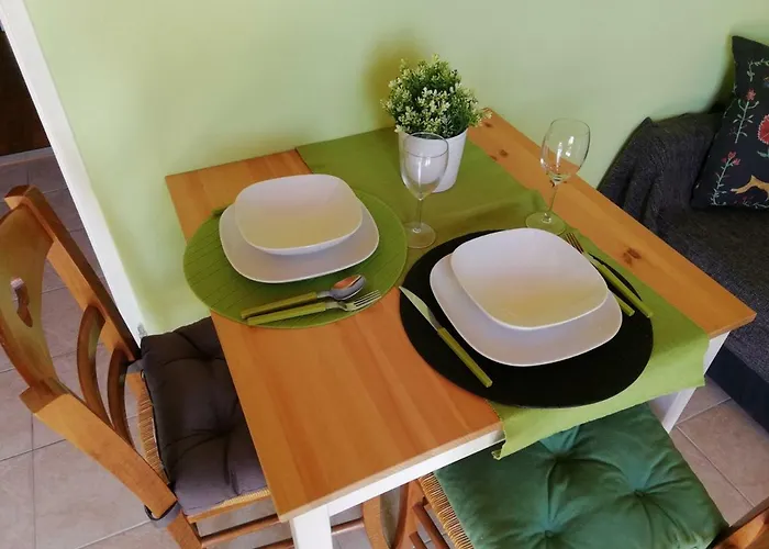 Panoramic View New Translation